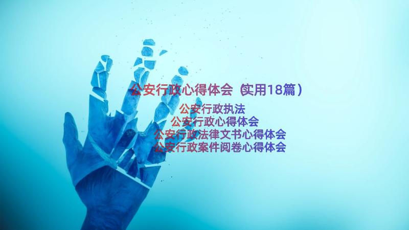 公安行政心得体会（实用18篇）