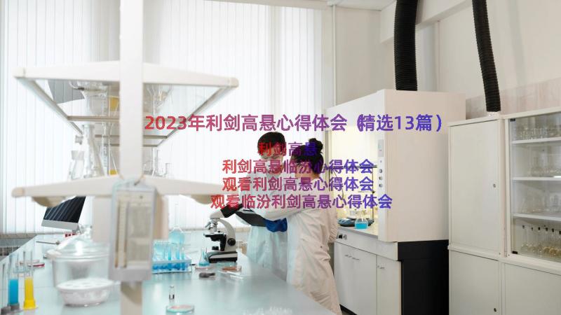 2023年利剑高悬心得体会（精选13篇）