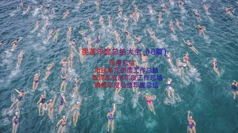 民革年度总结大全（18篇）