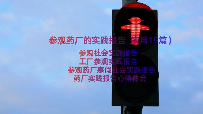 参观药厂的实践报告（实用19篇）