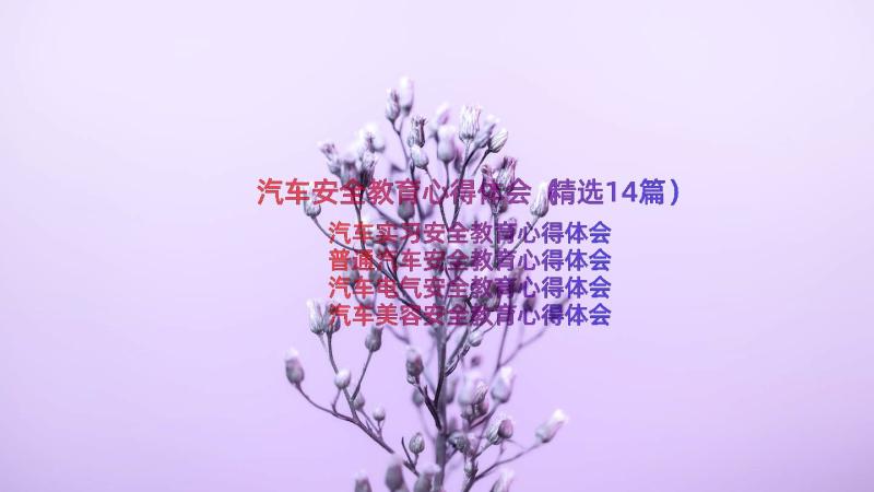 汽车安全教育心得体会（精选14篇）