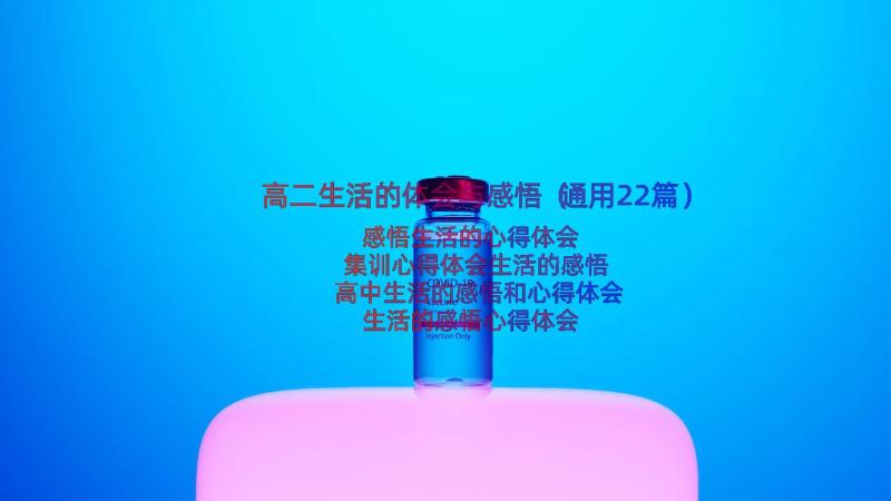 高二生活的体会与感悟（通用22篇）