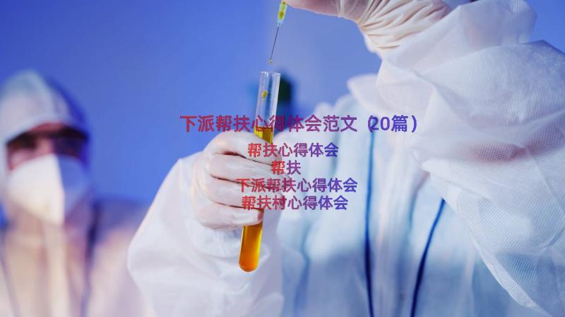 下派帮扶心得体会范文（20篇）