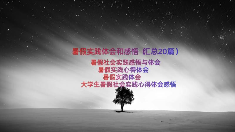 暑假实践体会和感悟（汇总20篇）