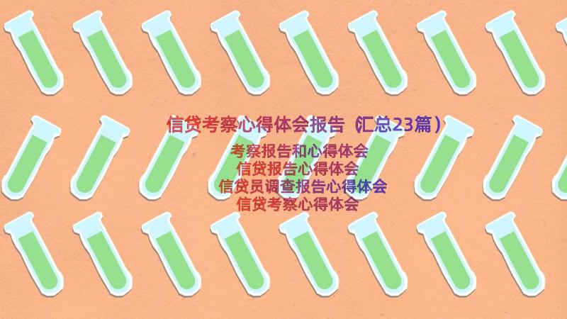 信贷考察心得体会报告（汇总23篇）