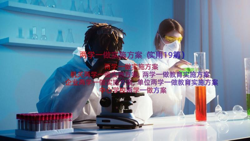 两学一做实施方案（实用19篇）