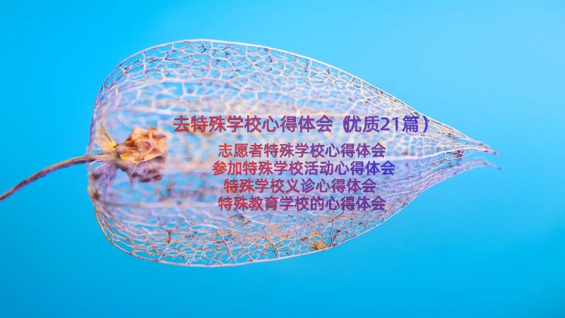 去特殊学校心得体会（优质21篇）