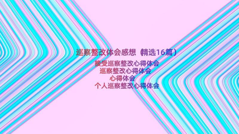 巡察整改体会感想（精选16篇）