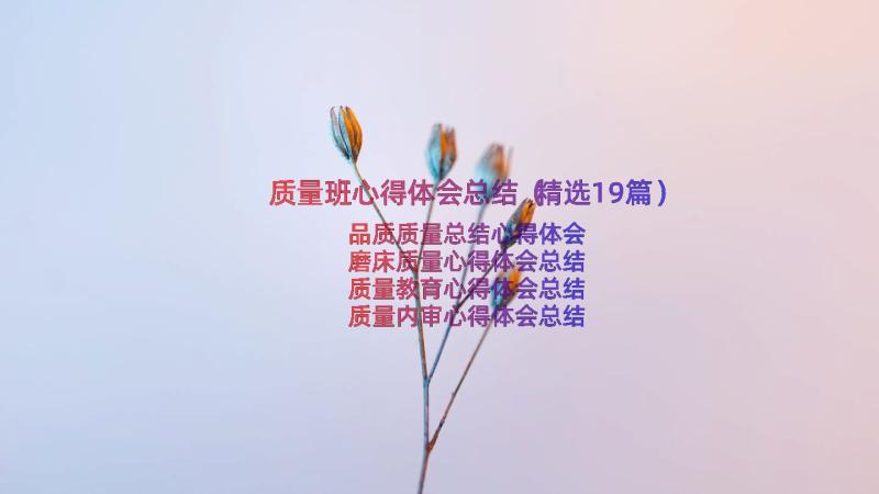 质量班心得体会总结（精选19篇）