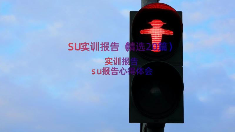 SU实训报告（精选20篇）