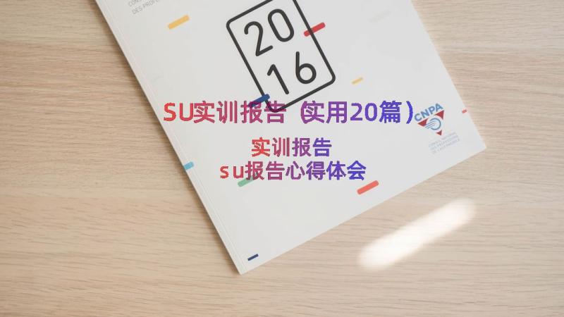 SU实训报告（实用20篇）