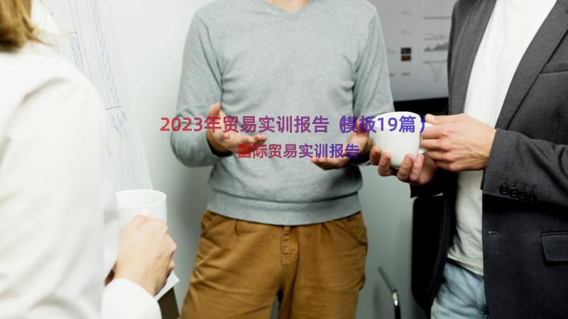 2023年贸易实训报告（模板19篇）