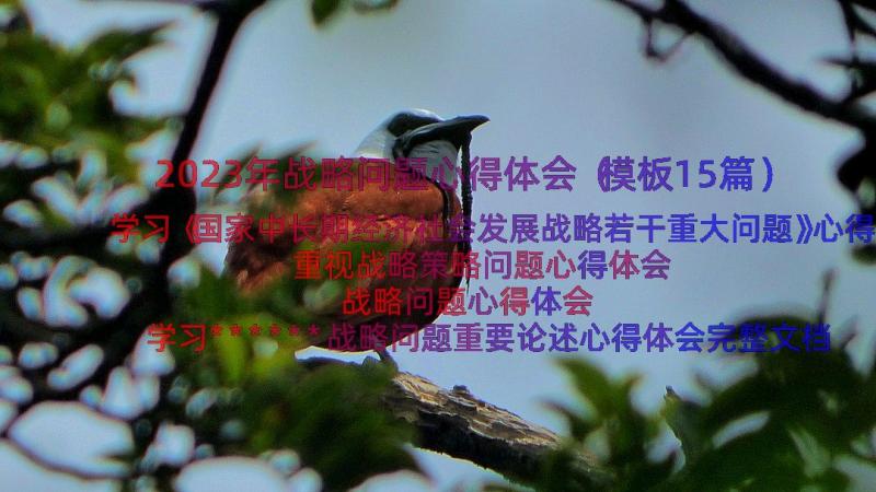 2023年战略问题心得体会（模板15篇）