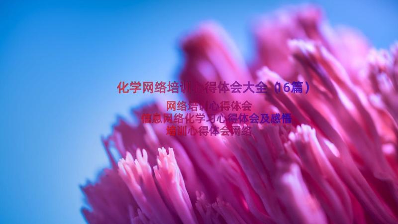 化学网络培训心得体会大全（16篇）