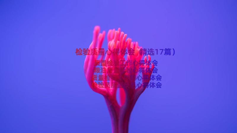 检验质量心得体会（精选17篇）