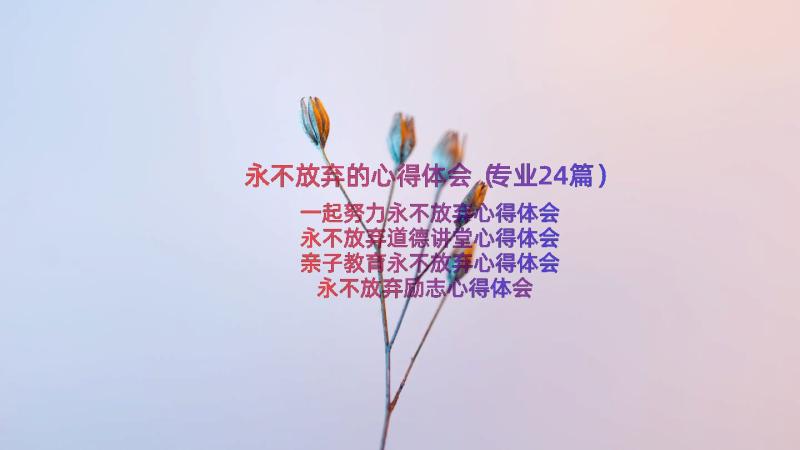 永不放弃的心得体会（专业24篇）