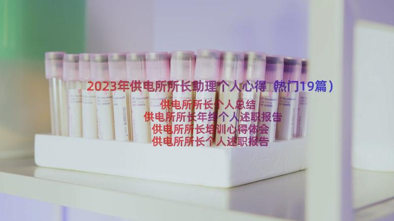 2023年供电所所长助理个人心得（热门19篇）