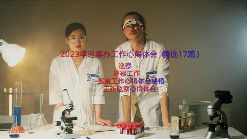 2023年巡察办工作心得体会（精选17篇）