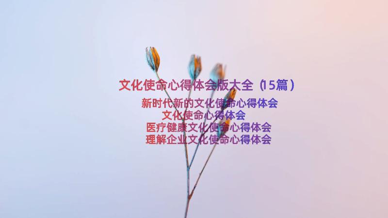 文化使命心得体会版大全（15篇）