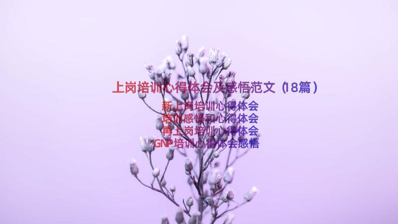 上岗培训心得体会及感悟范文（18篇）