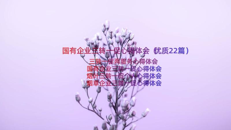 国有企业三转一促心得体会（优质22篇）