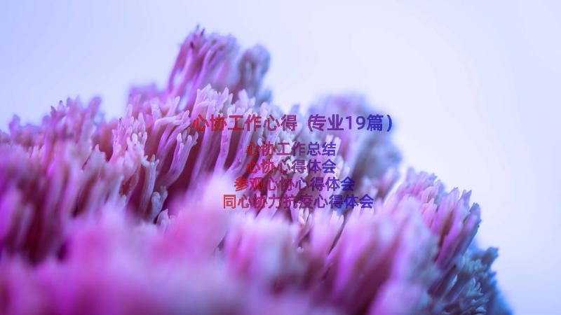 心协工作心得（专业19篇）