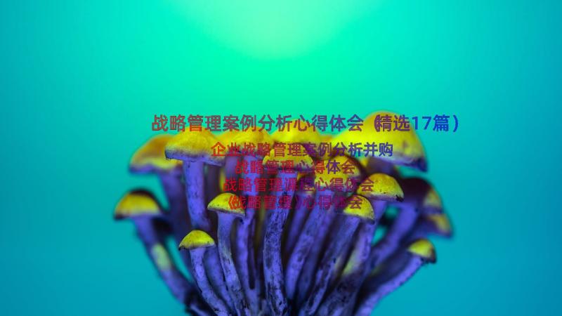 战略管理案例分析心得体会（精选17篇）