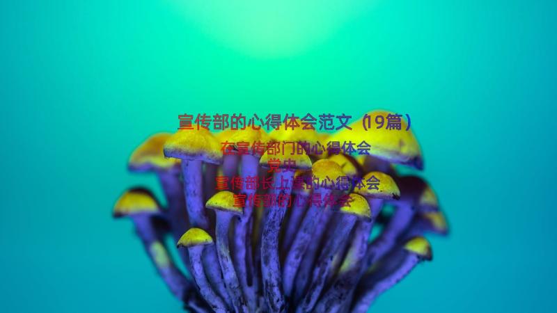 宣传部的心得体会范文（19篇）