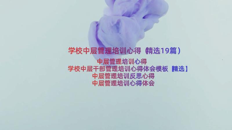 学校中层管理培训心得（精选19篇）