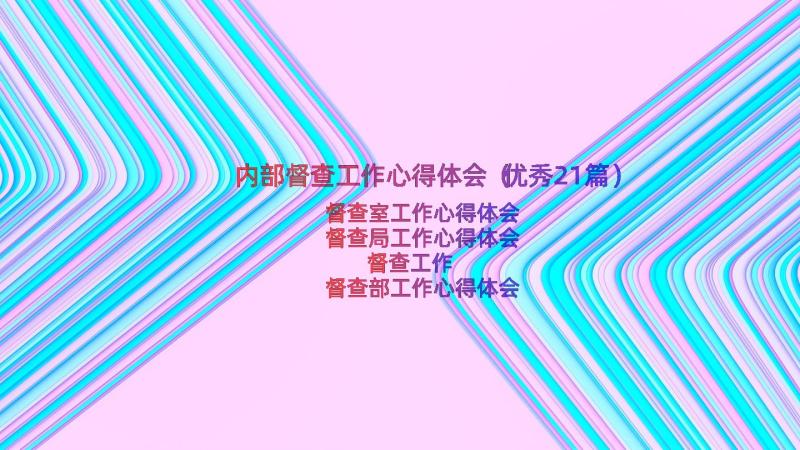 内部督查工作心得体会（优秀21篇）