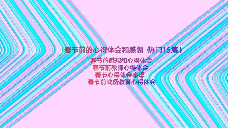 春节前的心得体会和感想（热门15篇）