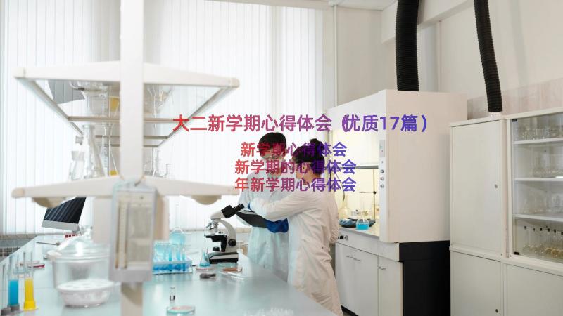 大二新学期心得体会（优质17篇）