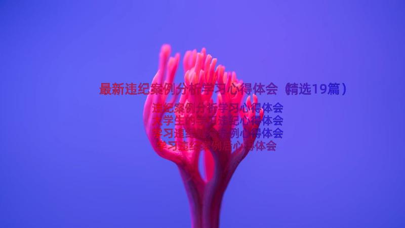 最新违纪案例分析学习心得体会（精选19篇）