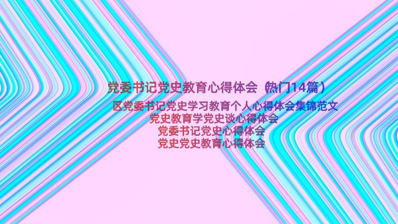 党委书记党史教育心得体会（热门14篇）