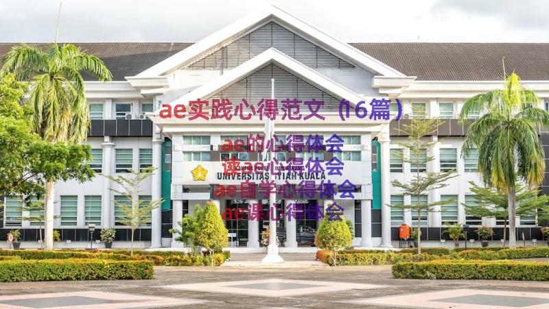 ae实践心得范文（16篇）