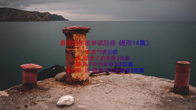 象鼻桥的故事读后感（通用14篇）