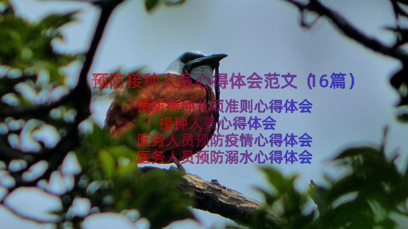 预防接种人员心得体会范文（16篇）