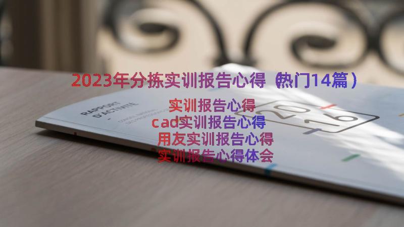 2023年分拣实训报告心得（热门14篇）