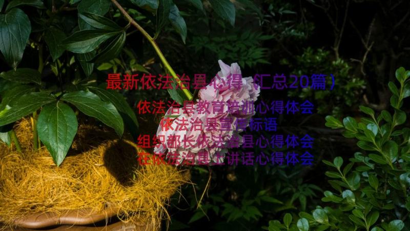 最新依法治县心得（汇总20篇）