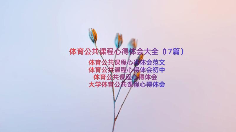 体育公共课程心得体会大全（17篇）