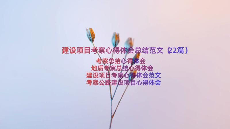 建设项目考察心得体会总结范文（22篇）