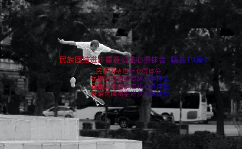 民族团结进步重要论述心得体会（精选19篇）