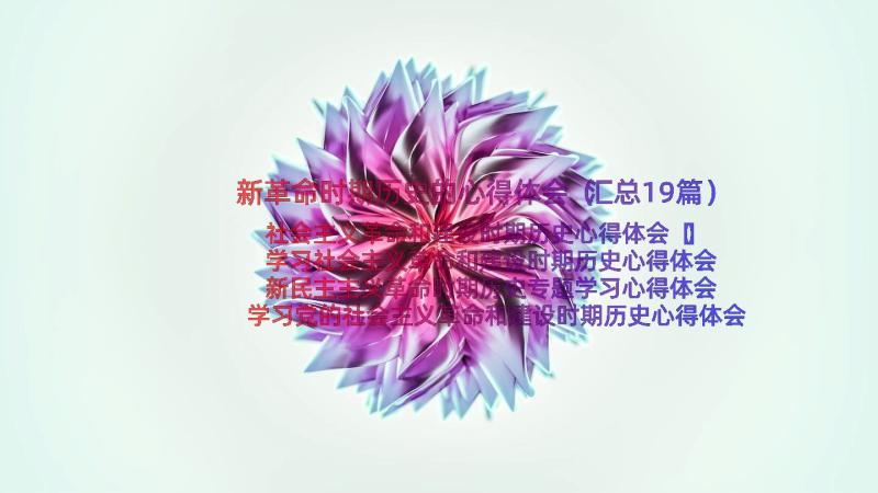 新革命时期历史的心得体会（汇总19篇）