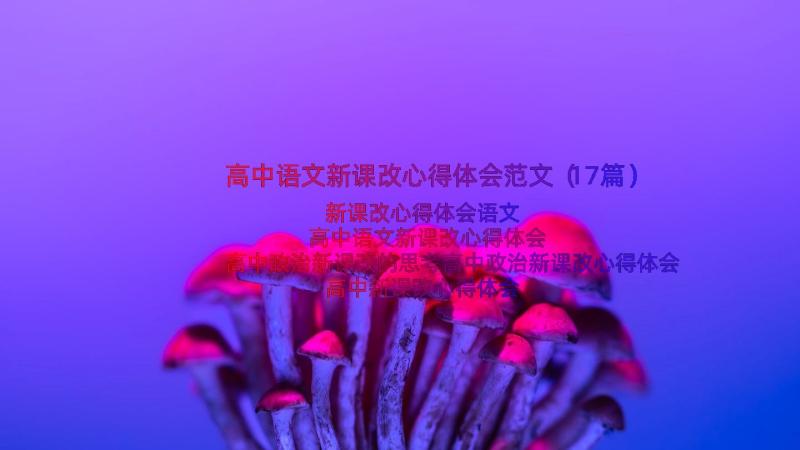 高中语文新课改心得体会范文（17篇）