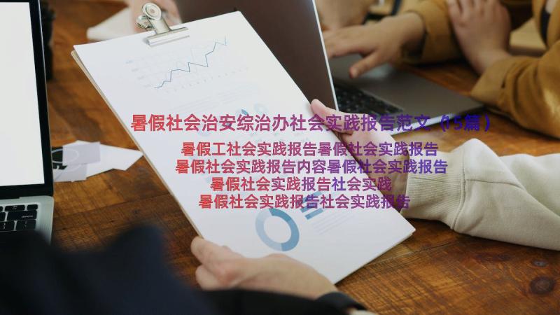 暑假社会治安综治办社会实践报告范文（15篇）