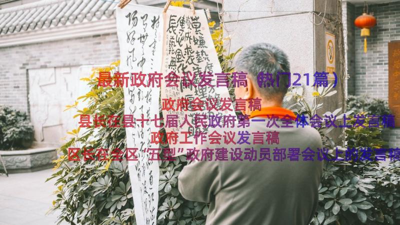 最新政府会议发言稿（热门21篇）