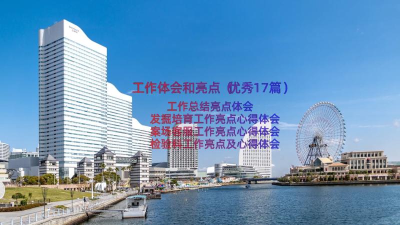 工作体会和亮点（优秀17篇）