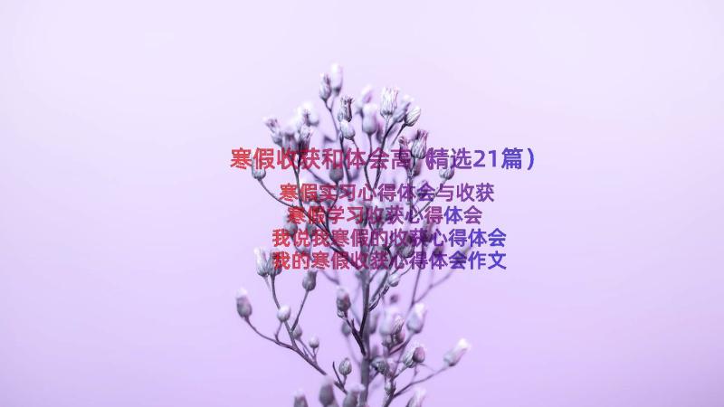 寒假收获和体会高（精选21篇）