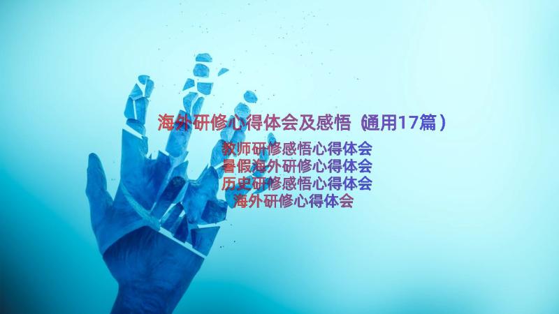 海外研修心得体会及感悟（通用17篇）