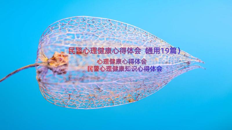 民警心理健康心得体会（通用19篇）